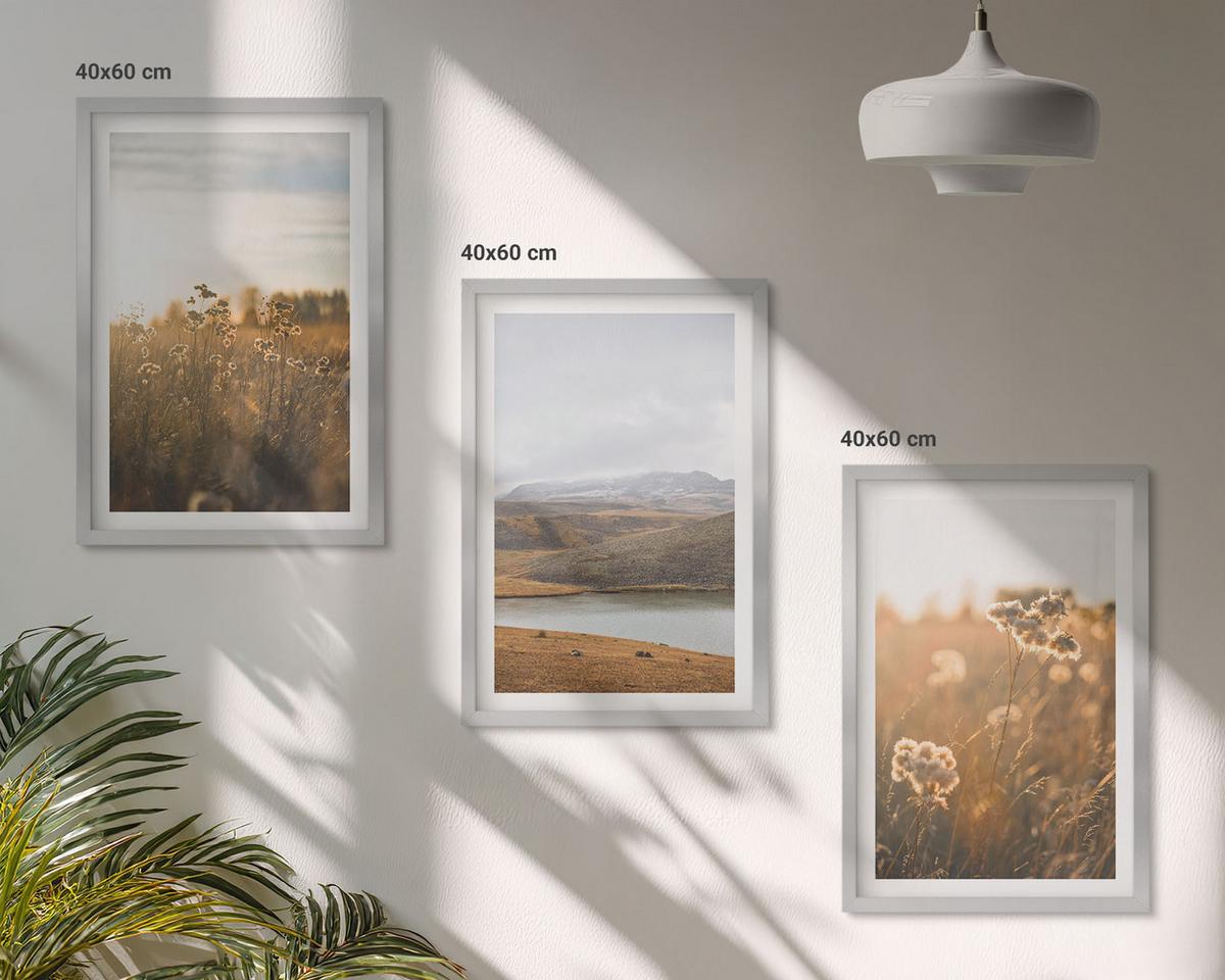 BILDER SET 3er Set - 40x60 cm Silberner Rahmen - Landschaften Wiesen Berge See - Silberfarben, Kunststoff (40/60cm) - TULUP