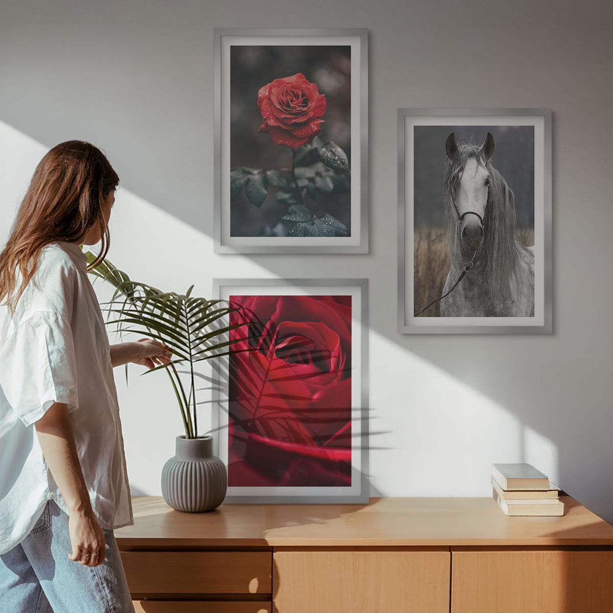 BILDER SET 3er Set - 40x60 cm Silberner Rahmen - Rote Rosen, Pferdegrau, Welt - Silberfarben, Kunststoff (40/60cm) - TULUP