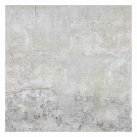FOTOTAPETE Shabby Betonoptik 288/288 cm - Grau, Papier (288/288cm) - Bilderwelten