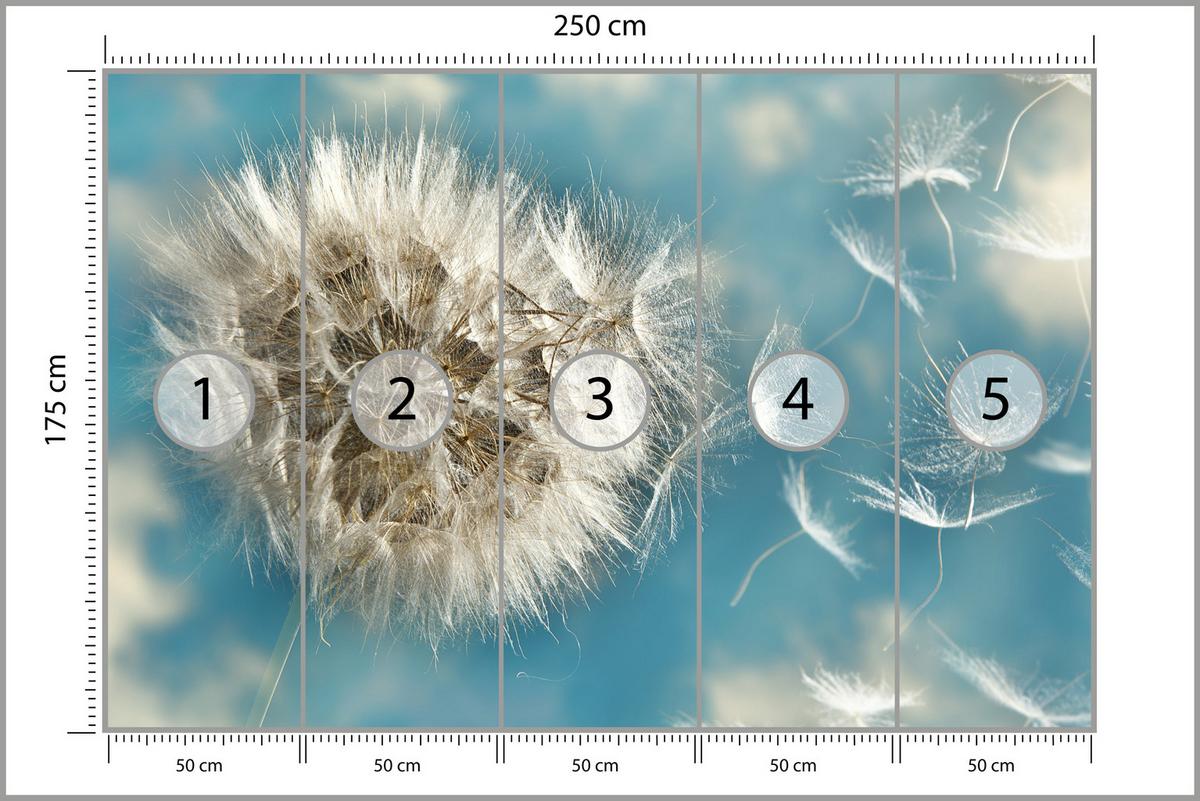 FOTOTAPETE für Schlafzimmer Löwenzahn im Wind Leicht Dynamisch 250x175 - Blau/Beige, Papier (250/175cm) - Muralo