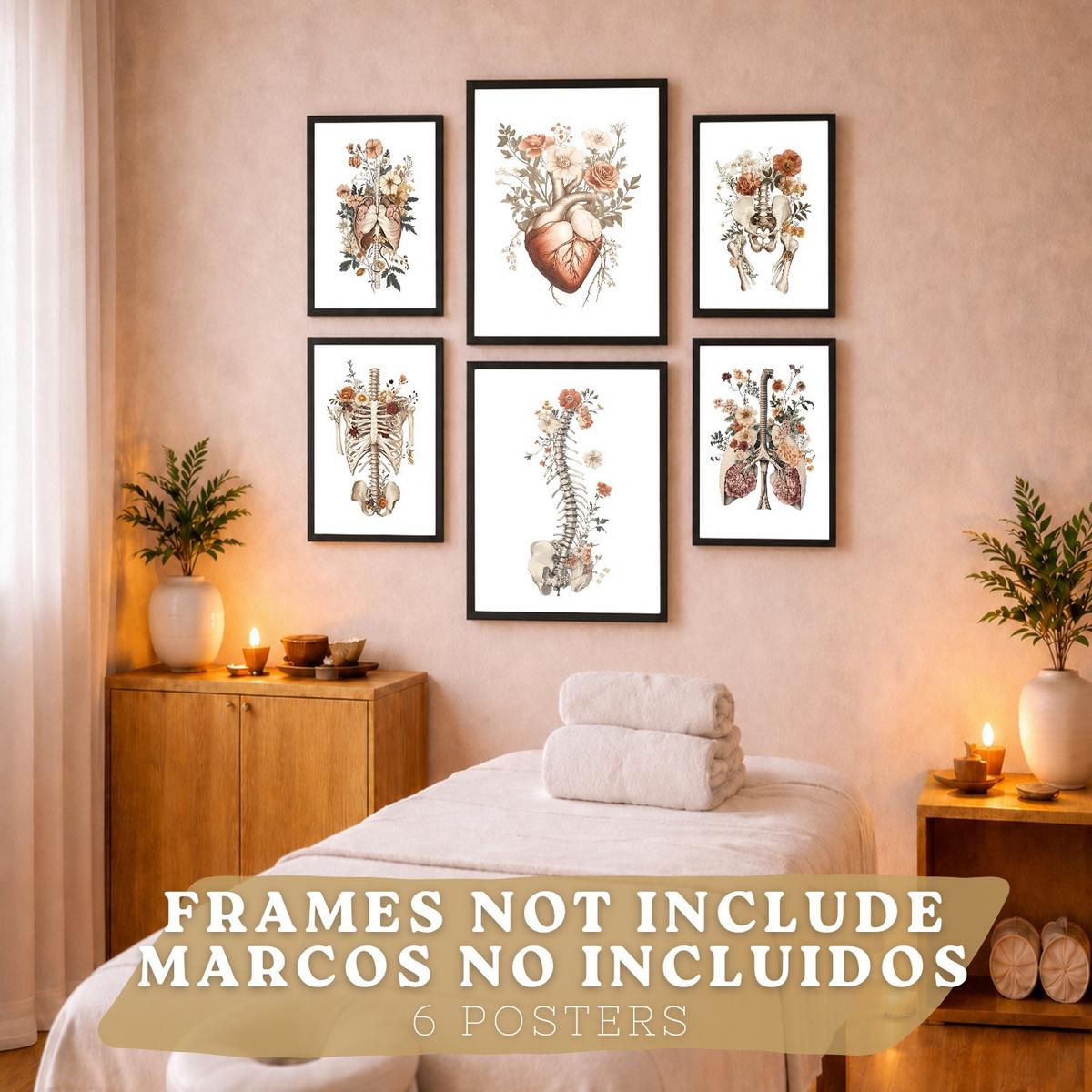 POSTER Set aus 6 Anatomie Mensch Florale Aquarell Drucke und mit Gehirn Lungen Skelett Nieren und Organen Botanische Größe Rahmenlos A3 & A4 - Klar, Papier (21/29.7/3cm) - Nacnic