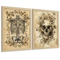 POSTER Set aus 2 Anatomie Mensch Drucke und Wandbilder mit Schädel Wirbelsäule Rippen Becken Klassisches Vintage Design Größe Leichter Holzrahmen A4 - Beige, Papier (21/29.7/3cm) - Nacnic