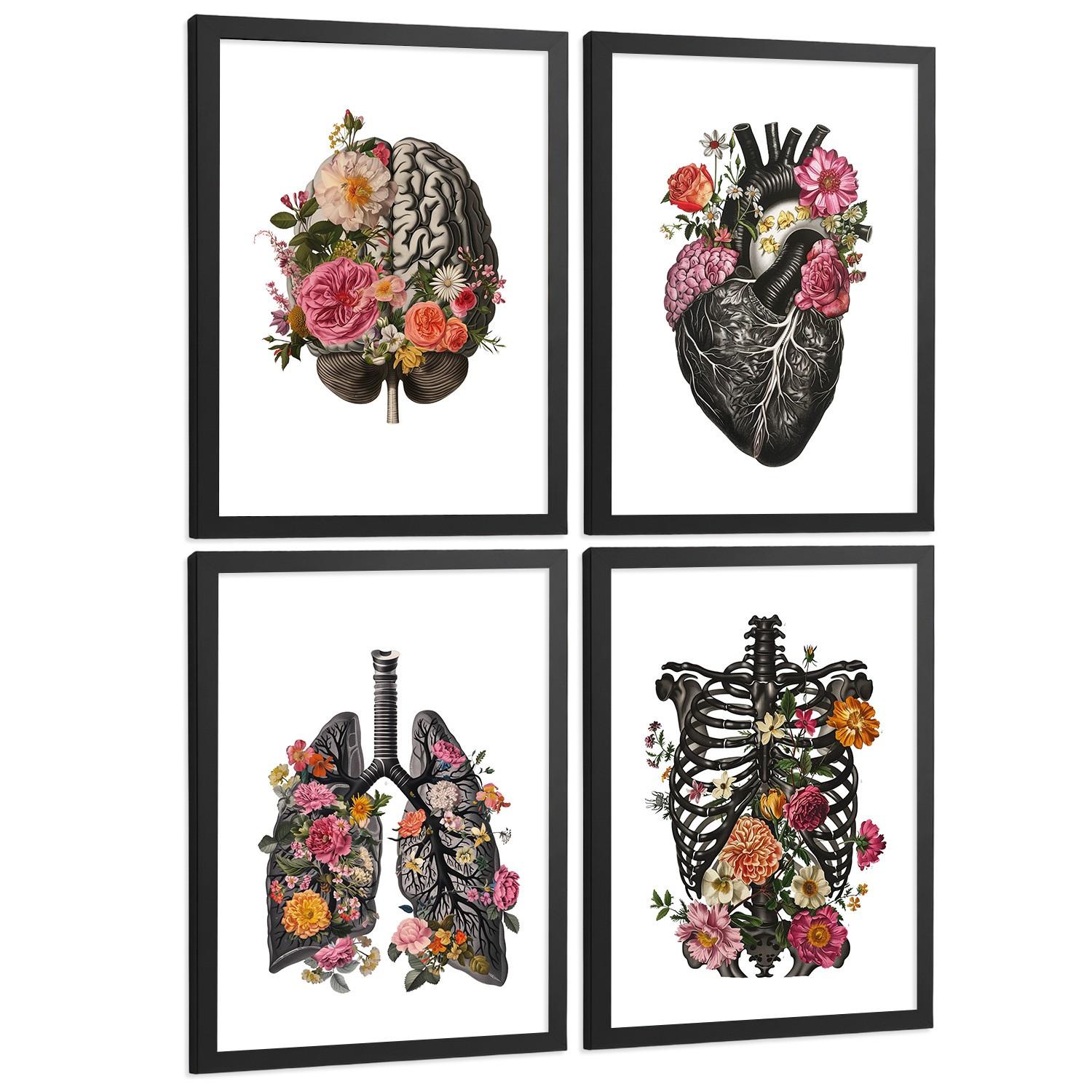 POSTER Set aus 4 Anatomie Drucke und Dekorative mit Gehirn Herz Lungen Atmungssystem Rippen Wirbelsäule Modernes Florales Größe Schwarzer Rahmen A3 - Schwarz, Papier (29.7/42/3cm) - Nacnic