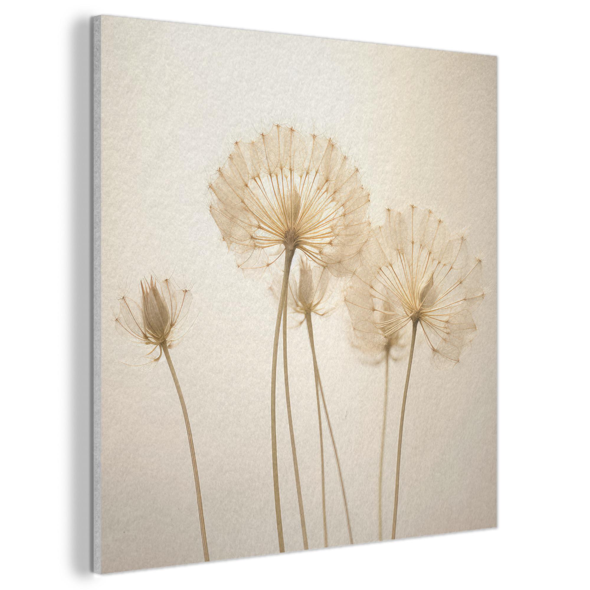 AKUSTIKBILD Sonnenlicht - Löwenzahn - Botanisch - Blumen Akustikpaneele 80x80 cm - Creme, Kunststoff (80/80/0.9cm) - MuchoWow