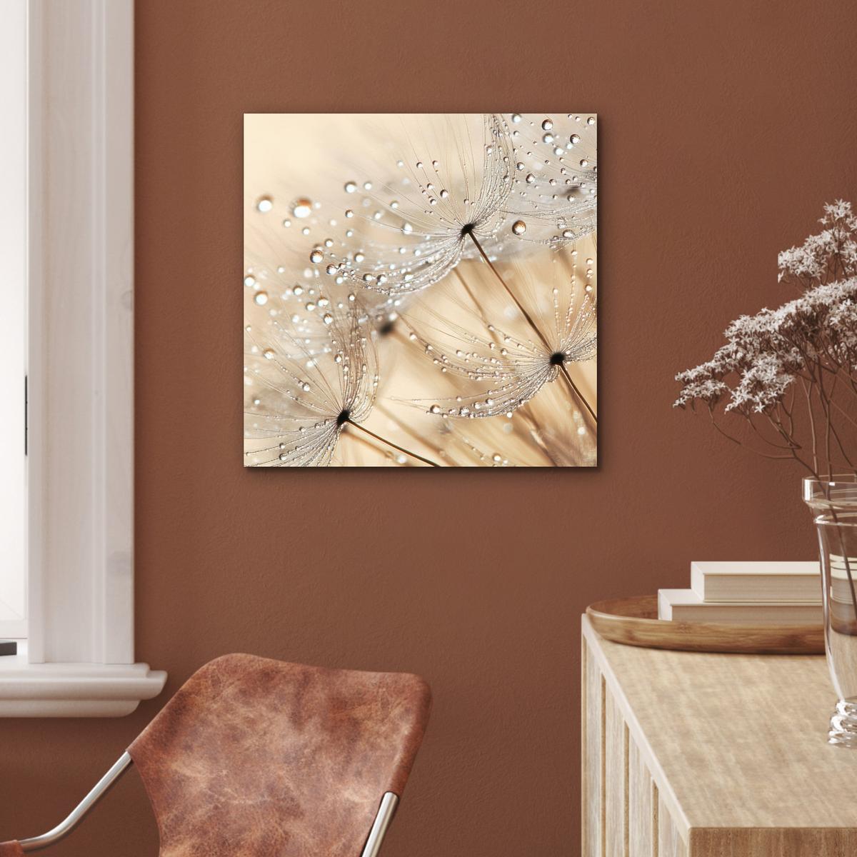 METALLBILD Löwenzahn - Abstrakt - Natur - Beige 50x50 cm - Braun, Metall (50/50cm) - MuchoWow