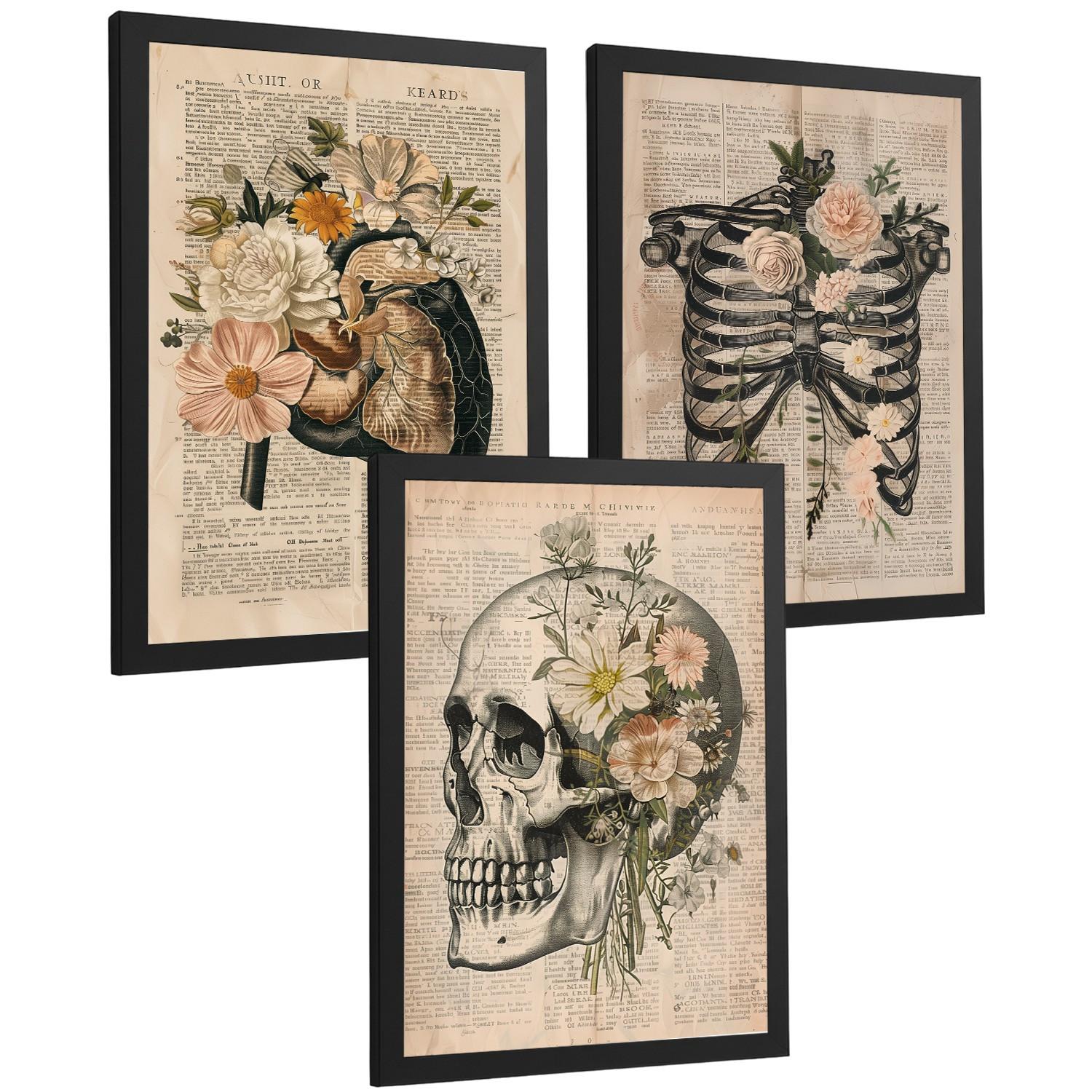 POSTER Set aus 3 Anatomie Mensch Drucke und Wandbilder mit Leber Rippen und Schädel Retro Floraler Stil Wanddekoration Größe Schwarzer Rahmen A3 - Schwarz, Papier (29.7/42/3cm) - Nacnic