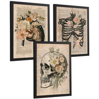 POSTER Set aus 3 Anatomie Mensch Drucke und Wandbilder mit Leber Rippen und Schädel Retro Floraler Stil Wanddekoration Größe Schwarzer Rahmen A3 - Schwarz, Papier (29.7/42/3cm) - Nacnic