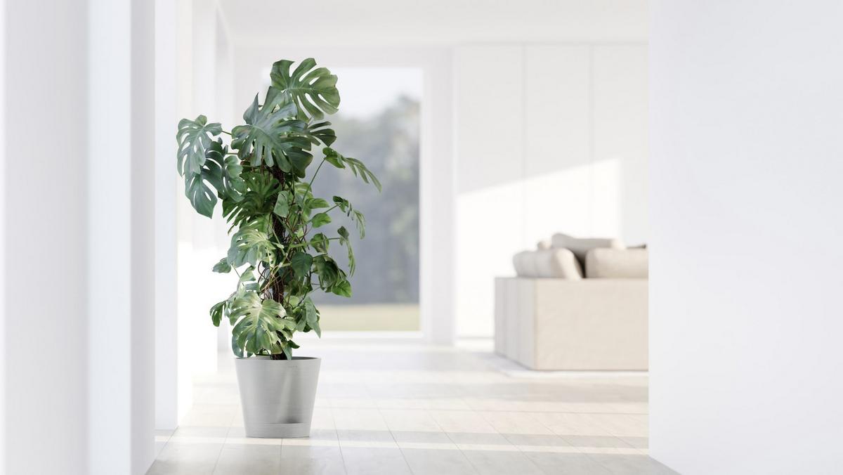 BLUMENTOPF Venice 30/27,5 cm Hellgrau - Hellgrau, Kunststoff (30/27.5cm) - Ecopots