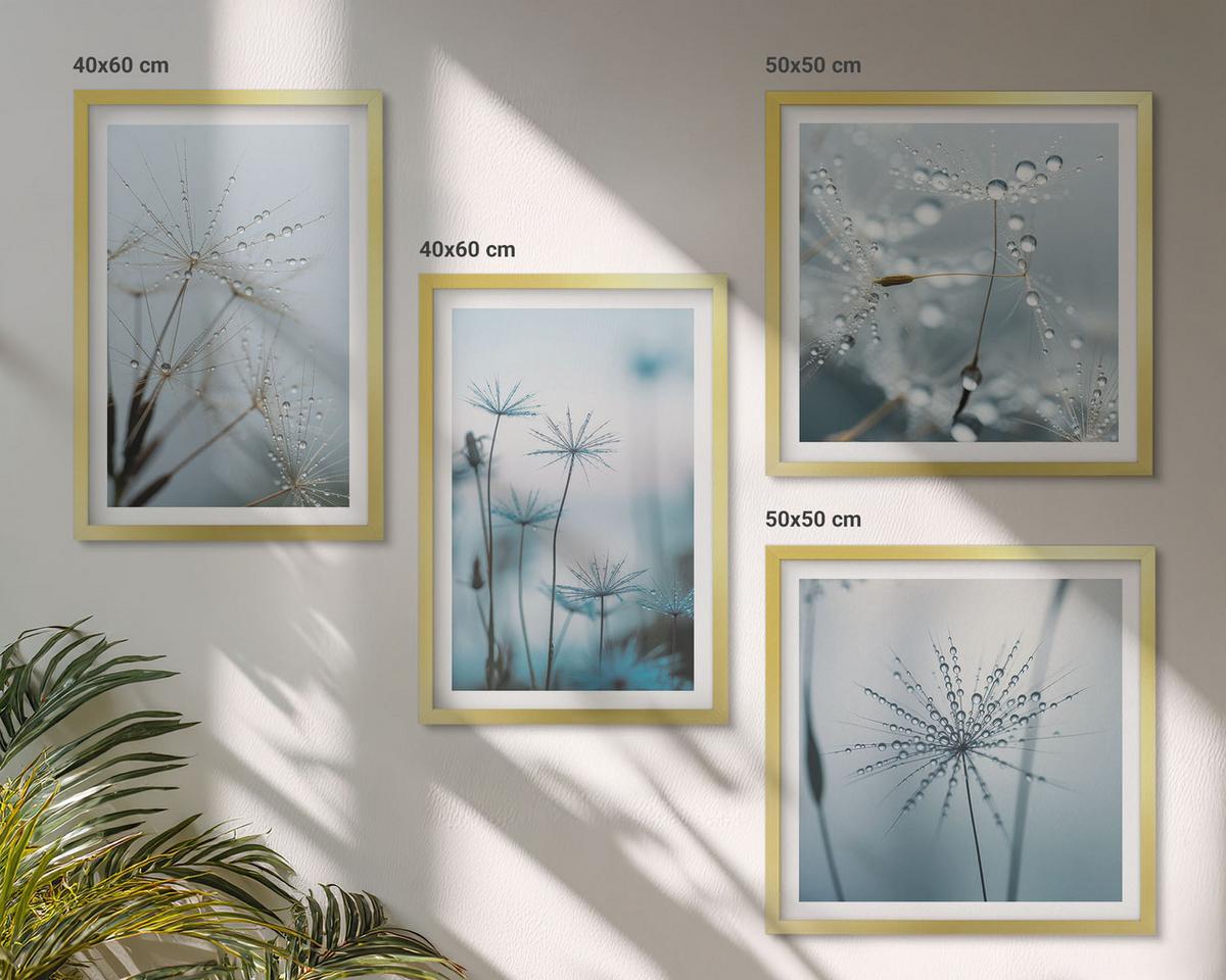BILDER SET 4er Set - 50x50 cm & 40x60 cm Goldrahmen - Löwenzahn-Wassertropfen - Goldfarben, Kunststoff (50/50cm) - TULUP