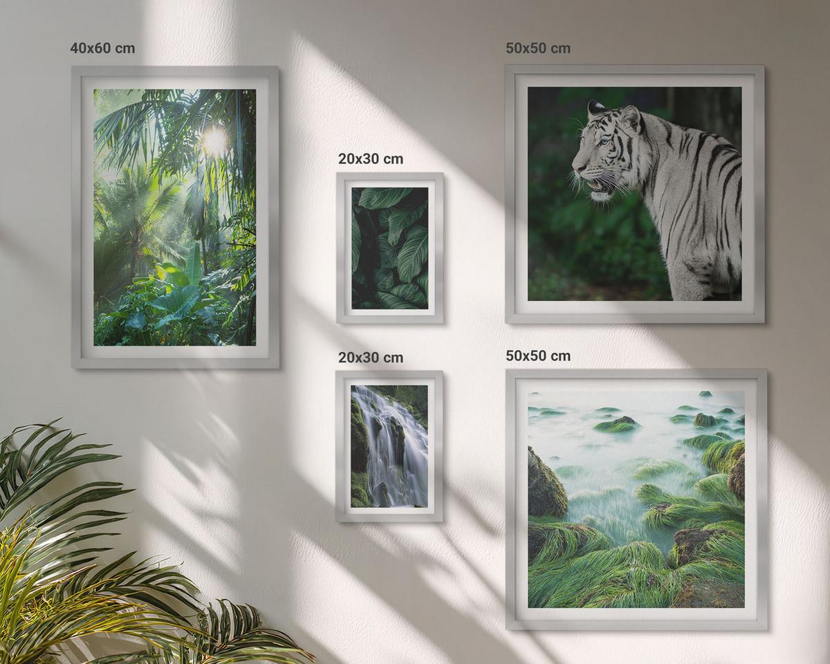 BILDER SET 5er Set - 50x50 cm & 20x30 cm & 40x60 cm Silberner Rahmen - Blätter und Blüten in verschiedenen Farben - Silberfarben, Kunststoff (40/60cm) - TULUP