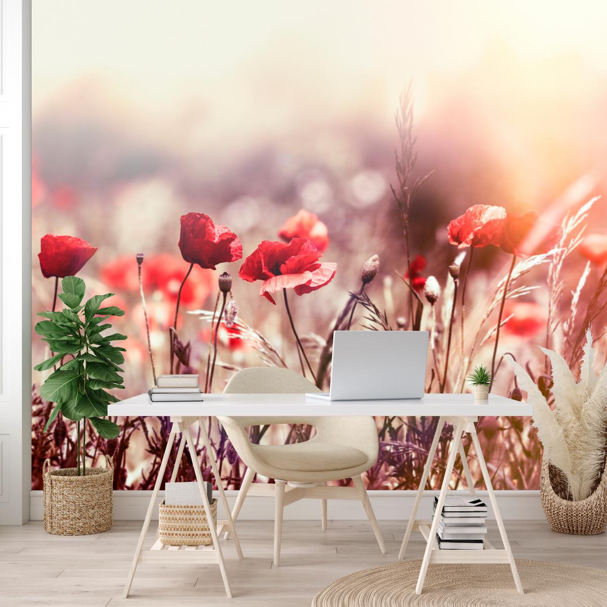 FOTOTAPETE für Esszimmer Feldblumen Rote Mohnwiese Sonne 450x315 - Rot/Orange, Papier (450/315cm) - Muralo