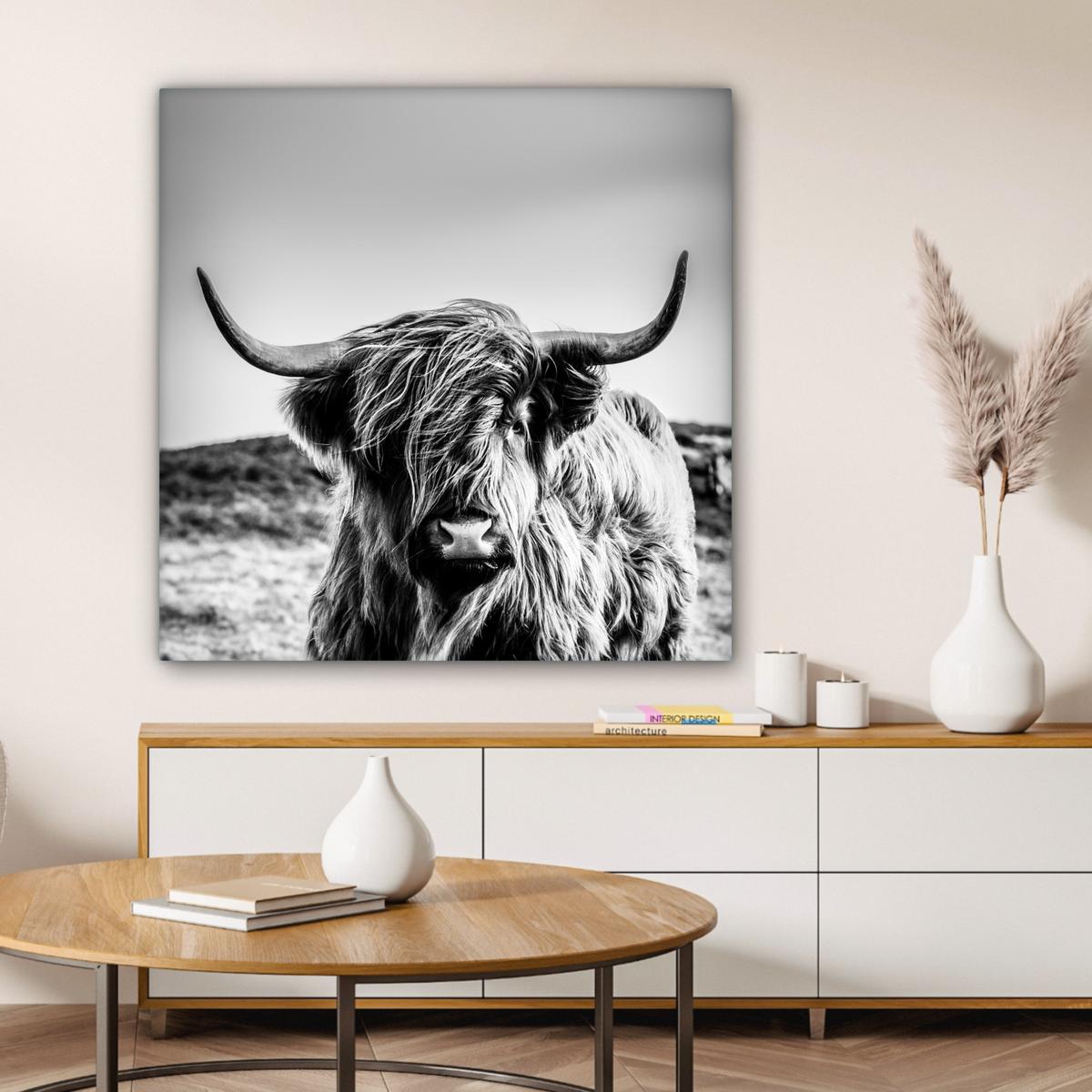 LEINWANDBILD Kuh - Schottischer Hochländer - Schwarz - Weiß - Tier - Natur - Wildtiere Deko Groß 90x90 cm - Schwarz, Textil (90/90cm) - MuchoWow