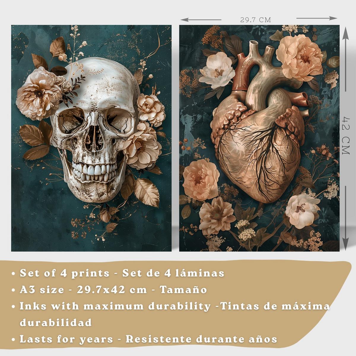 POSTER Set aus 4 Anatomie Drucke und mit Schädel Herz Gehirn Wirbelsäule Skelett Becken Klassisches Florales Design Größe Schwarzer Rahmen A3 - Schwarz, Papier (29.7/42/3cm) - Nacnic