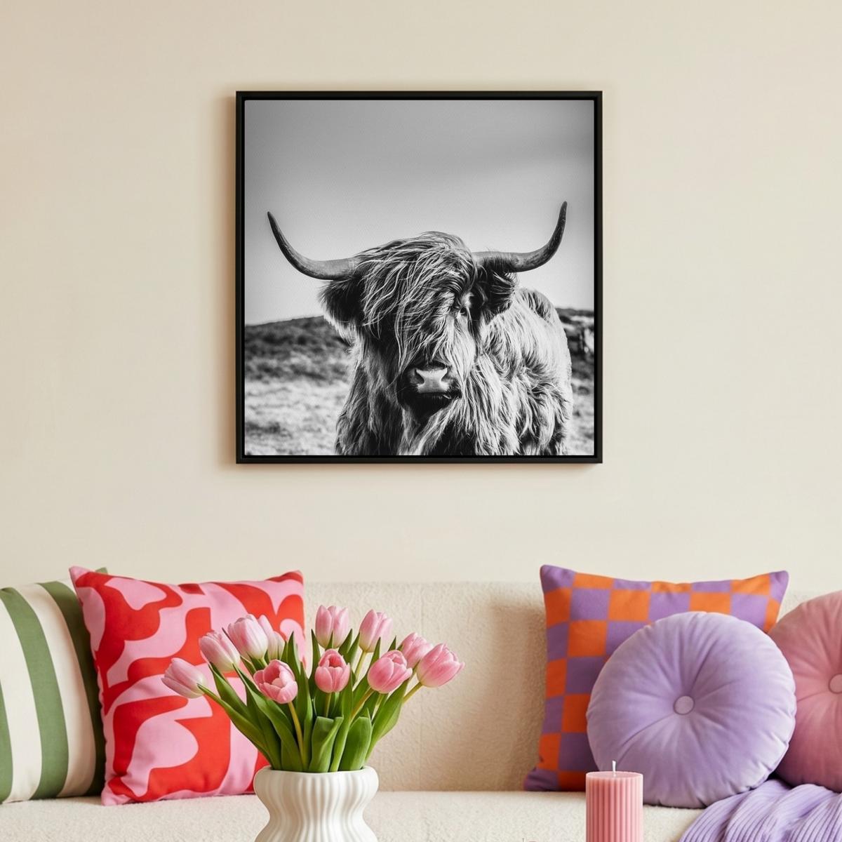 LEINWAND Bilder mit Rahmen - Kuh - Schottischer Hochländer - Schwarz - Weiß - Tier - Natur - Wildtiere - 50x50 - Schwarz, Textil (50/50cm) - MuchoWow
