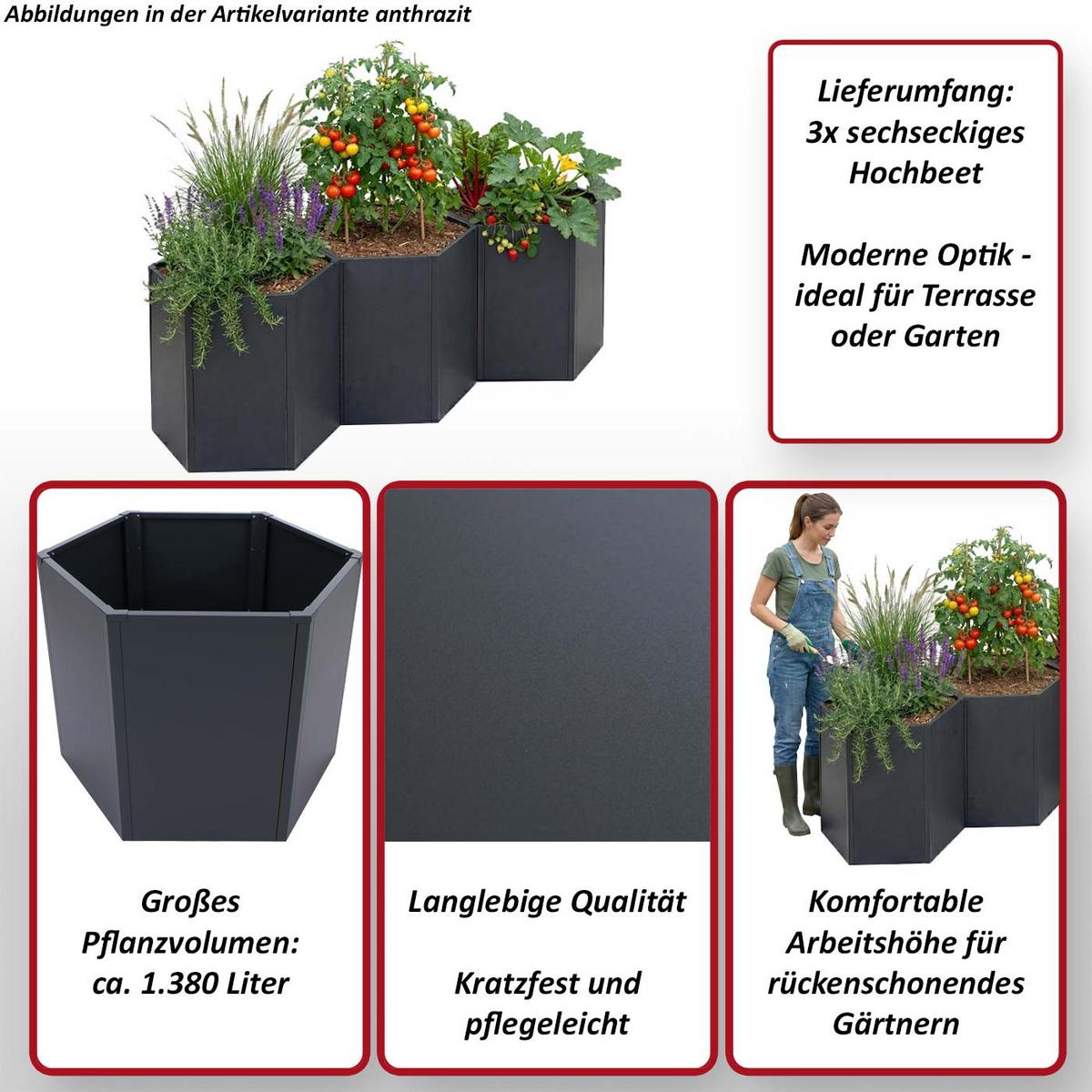 HOCHBEET 3ER-SET Anthrazit 3er-Set-Set - Anthrazit, Metall (264/77/100cm) - MCW