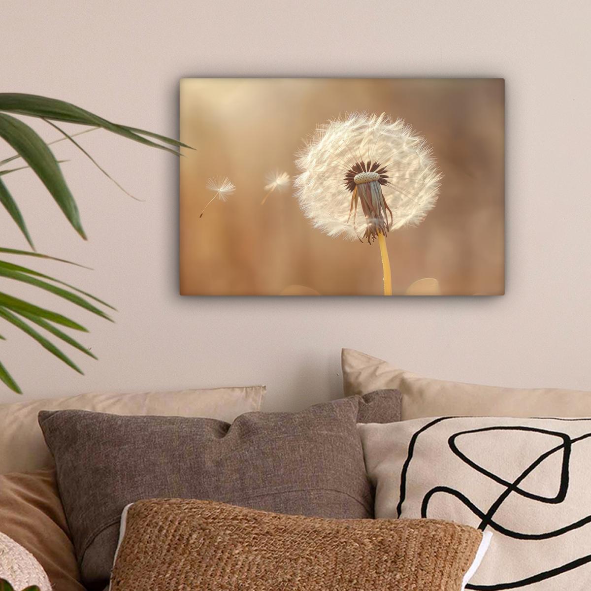 LEINWANDBILD Löwenzahn - Beige - Natur - Blume Deko Schlafzimmer 30x20 cm - Hellbraun, Textil (30/20cm) - MuchoWow