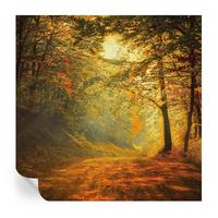 FOTOTAPETE 250x250 cm - Herbstlandschaft - Gelb, Textil (250/250cm) - Wallfluent