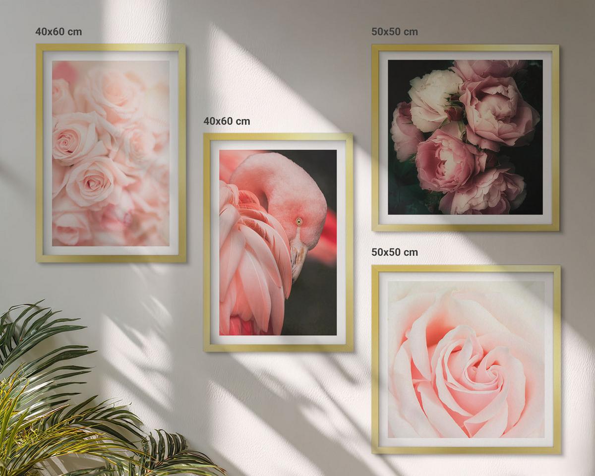 BILDER SET 4er Set - 50x50 cm & 40x60 cm Goldrahmen - Pastellrosa Flamingos - Goldfarben, Kunststoff (50/50cm) - TULUP