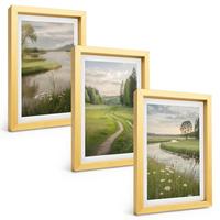 BILDER SET 3er Set - 20x30 cm Goldrahmen - Sommerliche Flusswiesen voller Blumen - Goldfarben, Kunststoff (20/30cm) - TULUP