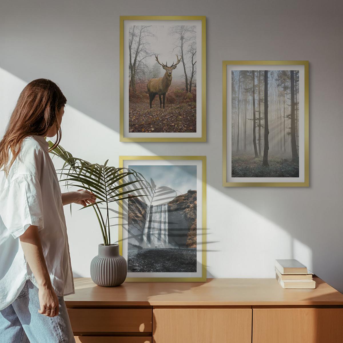 BILDER SET 3er Set - 40x60 cm Goldrahmen - Waldlandschaften, wilde Natur - Goldfarben, Kunststoff (40/60cm) - TULUP