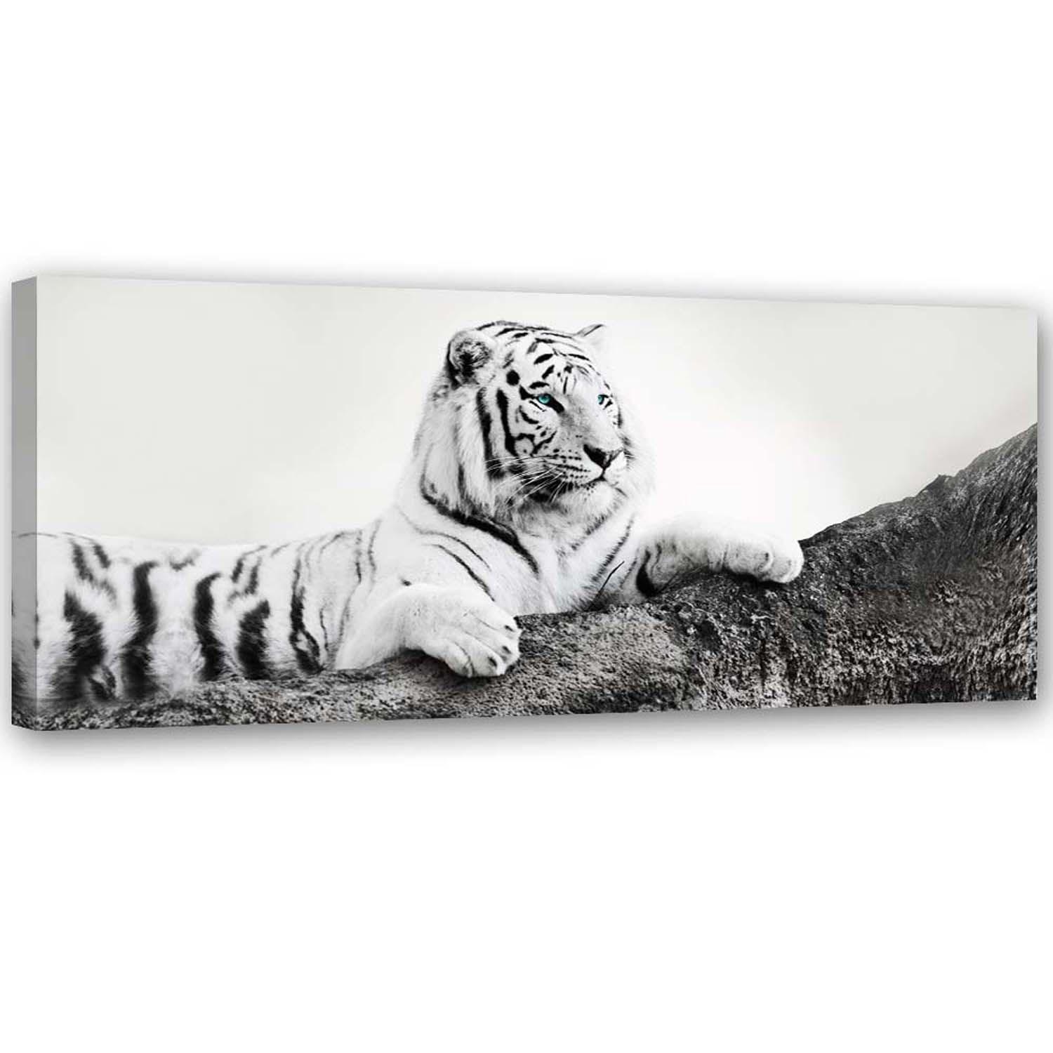BILD AUF LEINWAND Tiger Wildtiere Natur 120x40cm - Grau, Textil (120/40cm) - Feeby