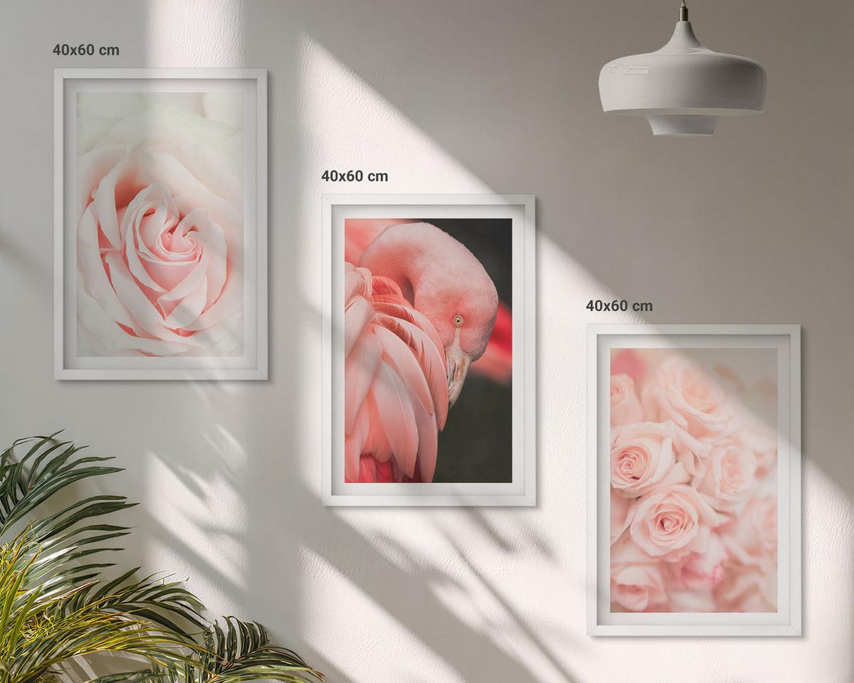 BILDER SET 3er Set - 40x60 cm Weißer Rahmen - Zartrosa Flamingos - Weiß, Kunststoff (40/60cm) - TULUP