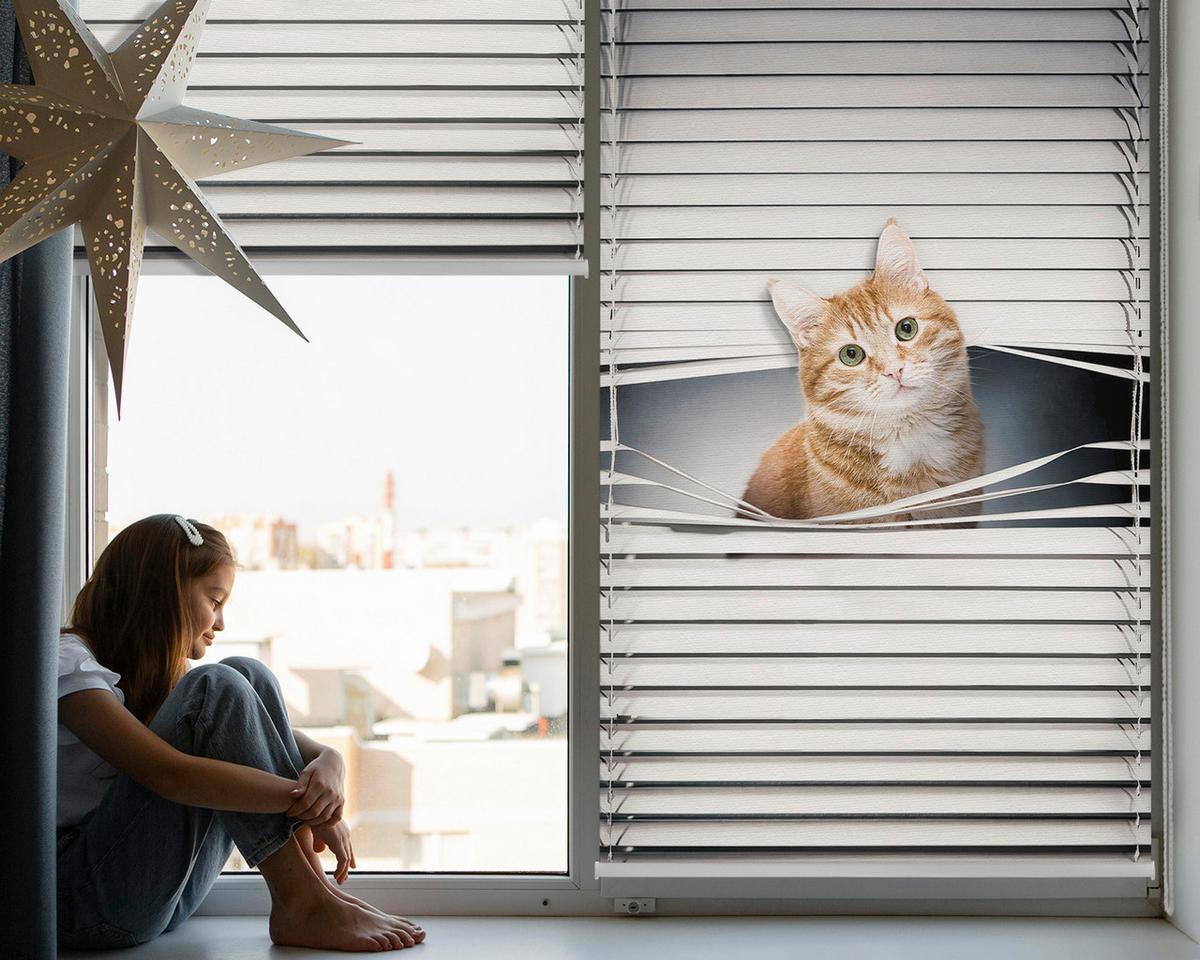 INNENROLLO - Fensterrollo - Rollo - 90x140 cm - Ingwerkatze - Grau, Kunststoff (90/140/0.5cm) - TULUP
