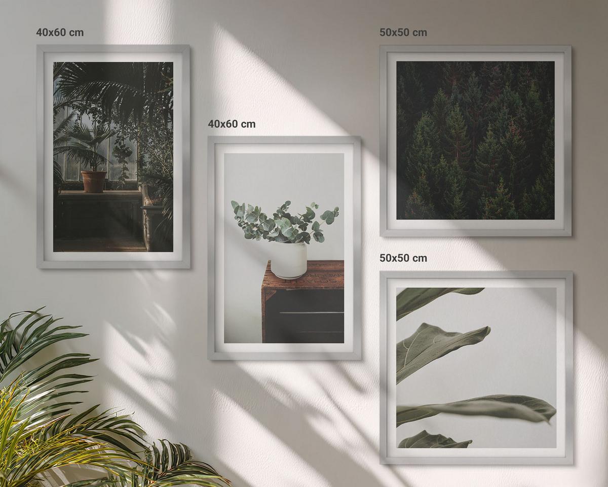 BILDER SET 4er Set - 50x50 cm & 40x60 cm Silberner Rahmen - Rustikale Topfpflanzen - Silberfarben, Kunststoff (50/50cm) - TULUP