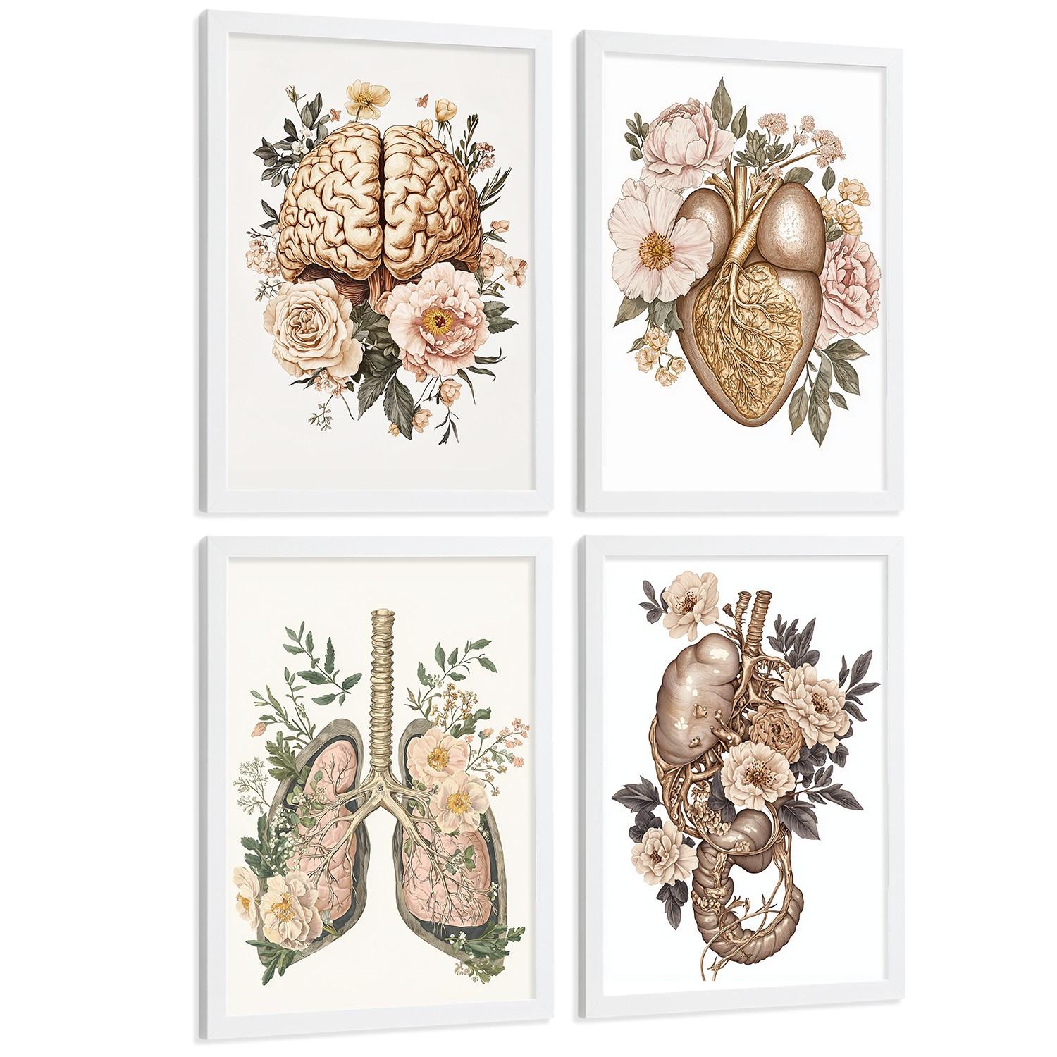 POSTER Set aus 4 Vintage Körper Anatomie Drucke mit Gehirn Herz Lungen Luftröhre Bronchien Nieren Verdauungssystem Magen Darm Größe Weißer Rahmen A4 - Weiß, Papier (21/29.7/3cm) - Nacnic