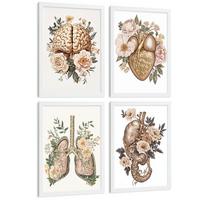 POSTER Set aus 4 Vintage Körper Anatomie Drucke mit Gehirn Herz Lungen Luftröhre Bronchien Nieren Verdauungssystem Magen Darm Größe Weißer Rahmen A4 - Weiß, Papier (21/29.7/3cm) - Nacnic