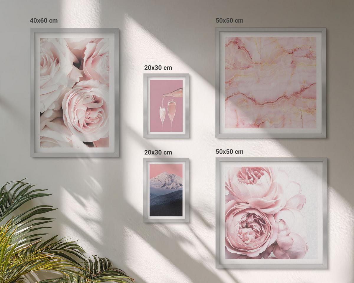 BILDER SET 5er Set - 50x50 cm & 20x30 cm & 40x60 cm Silberner Rahmen - Eiffels Porträt einer Frau mit Rosen - Silberfarben, Kunststoff (40/60cm) - TULUP