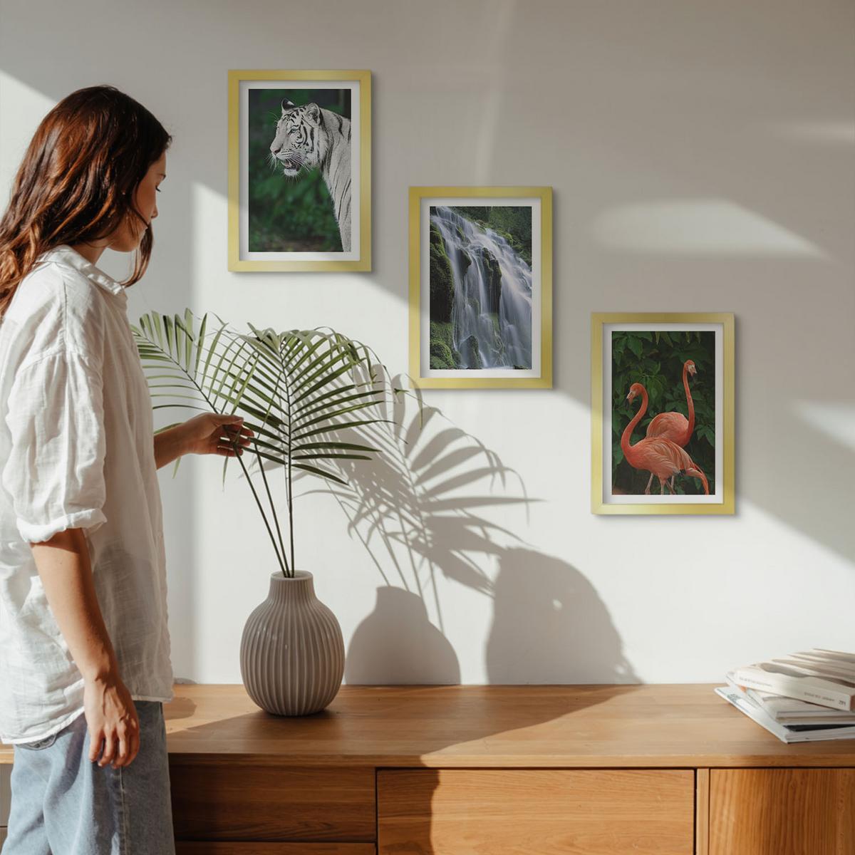 BILDER SET 3er Set - 20x30 cm Goldrahmen - Tiger Wasserfall Flamingos Natur - Goldfarben, Kunststoff (20/30cm) - TULUP