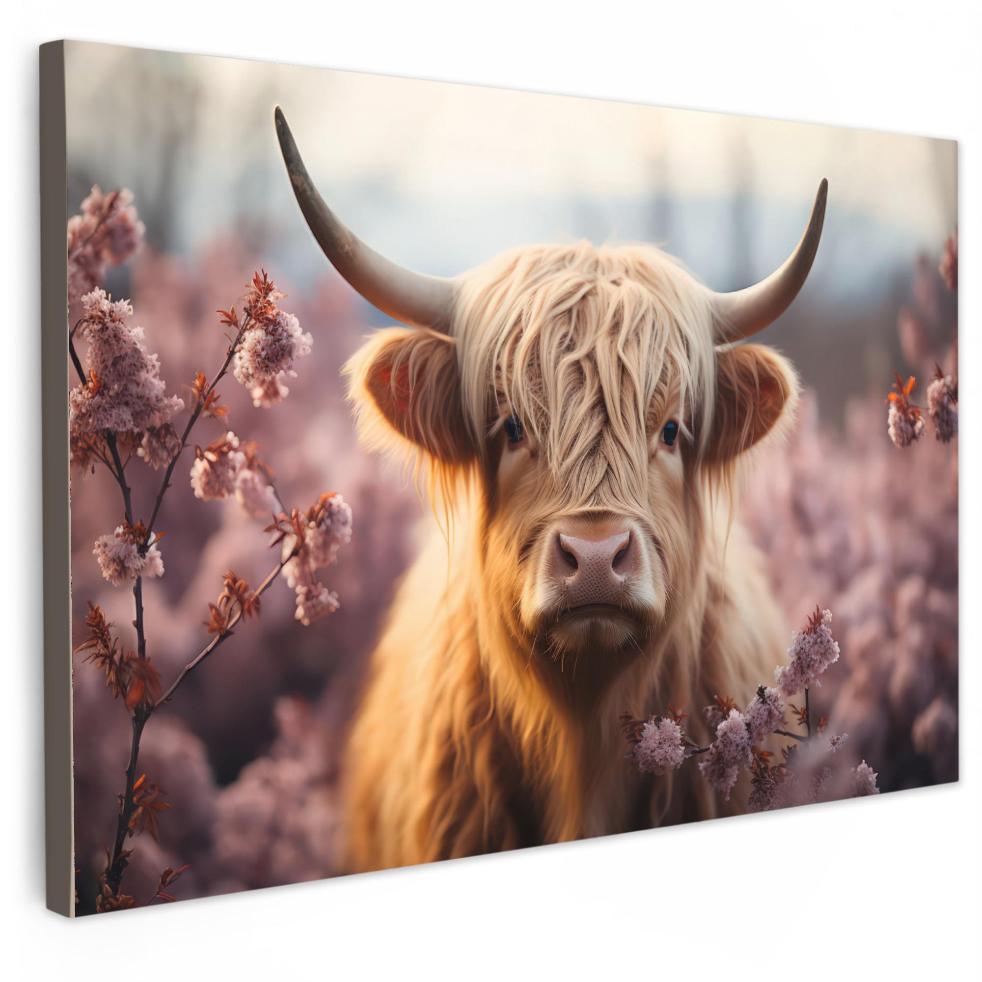 LEINWANDBILD Schottischer Hochländer - Frühling - Hochland Groß 140x90 cm - Hellrosa, Textil (140/90cm) - MuchoWow