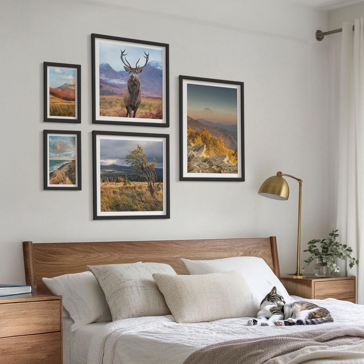 BILDER SET 5er Set - 50x50 cm & 20x30 cm & 40x60 cm Schwarzer Rahmen - Berglandschaften, Hirschgras - Schwarz, Kunststoff (40/60cm) - TULUP