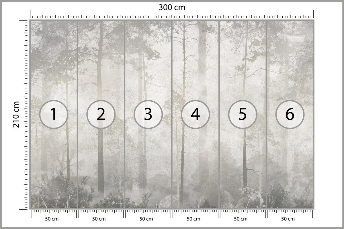FOTOTAPETE für Wohnzimmer Nebliger Wald Vintage Bäume 300x210 - Beige/Grau, Papier (300/210cm) - Muralo