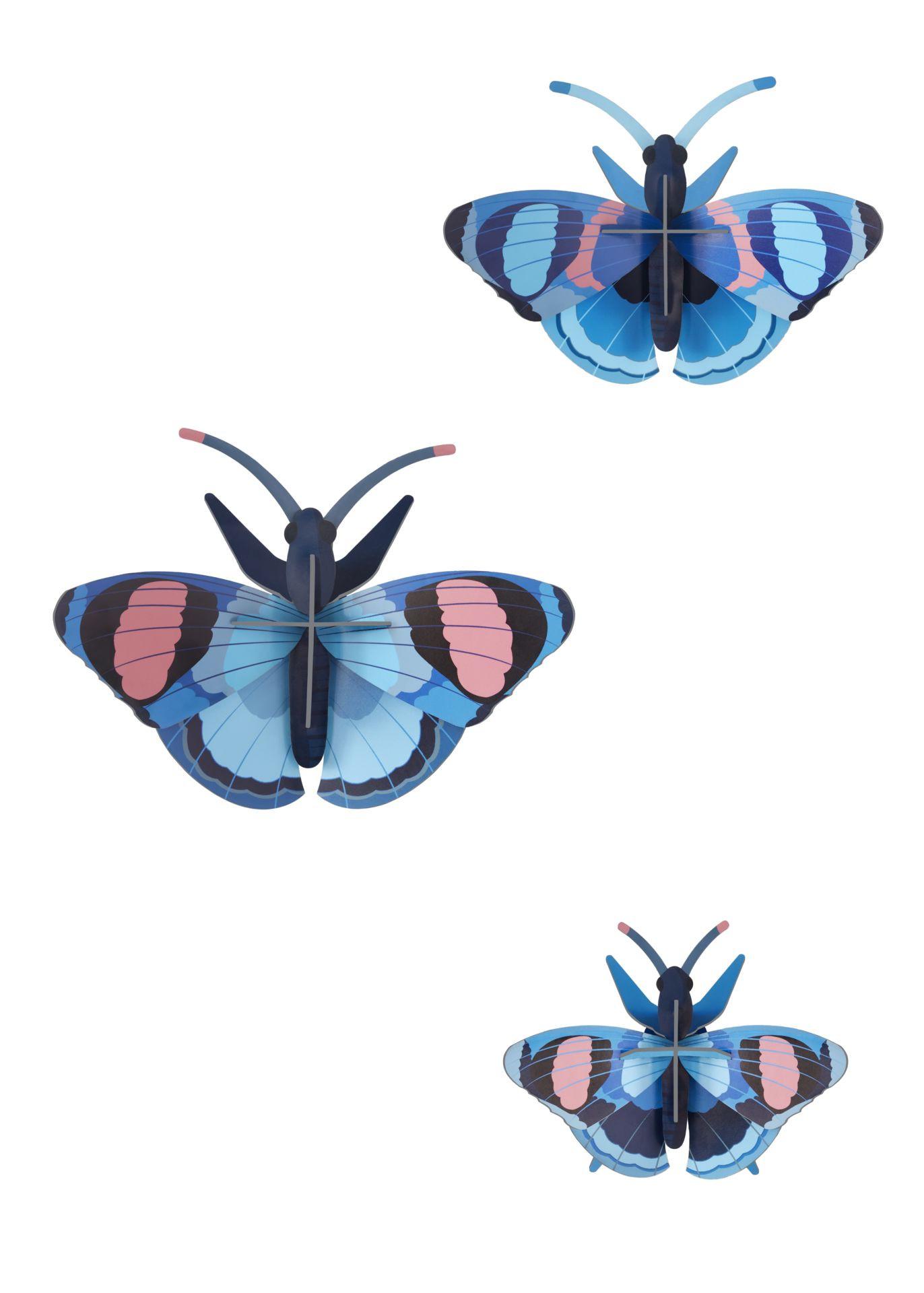WANDDEKO Azur-Flug-Trio 5/13 cm - Multicolor, Wellpappe (5/13/17cm) - Studio Roof