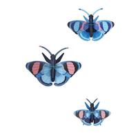WANDDEKO Azur-Flug-Trio 5/13 cm - Multicolor, Wellpappe (5/13/17cm) - Studio Roof