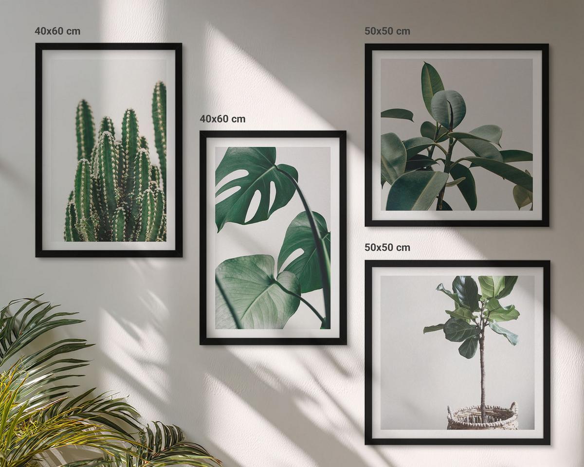 BILDER SET 4er Set - 50x50 cm & 40x60 cm Schwarzer Rahmen - Ästhetik tropischer Pflanzen - Schwarz, Kunststoff (50/50cm) - TULUP