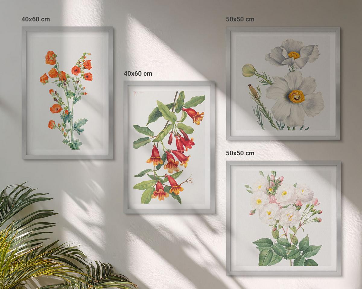BILDER SET 4er Set - 50x50 cm & 40x60 cm Silberner Rahmen - Retro-Blumenmalerei - Silberfarben, Kunststoff (50/50cm) - TULUP