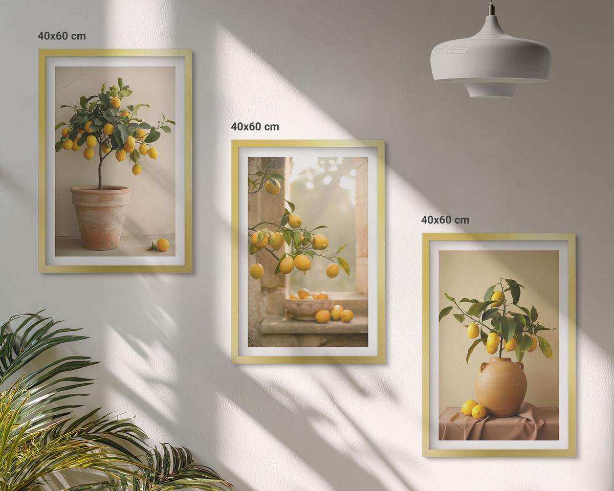 BILDER SET 3er Set - 40x60 cm Goldrahmen - Zitronenbäume im Topf - Goldfarben, Kunststoff (40/60cm) - TULUP