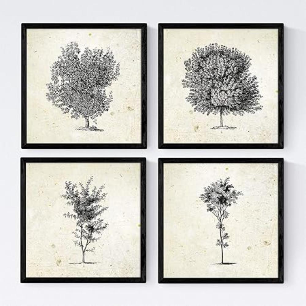 POSTER Set mit 4 Blättern der Baumstämme Jahrgang Hintergrund 20x20cm Schwarzer Rahmen - Schwarz, Papier (20/3cm) - Nacnic