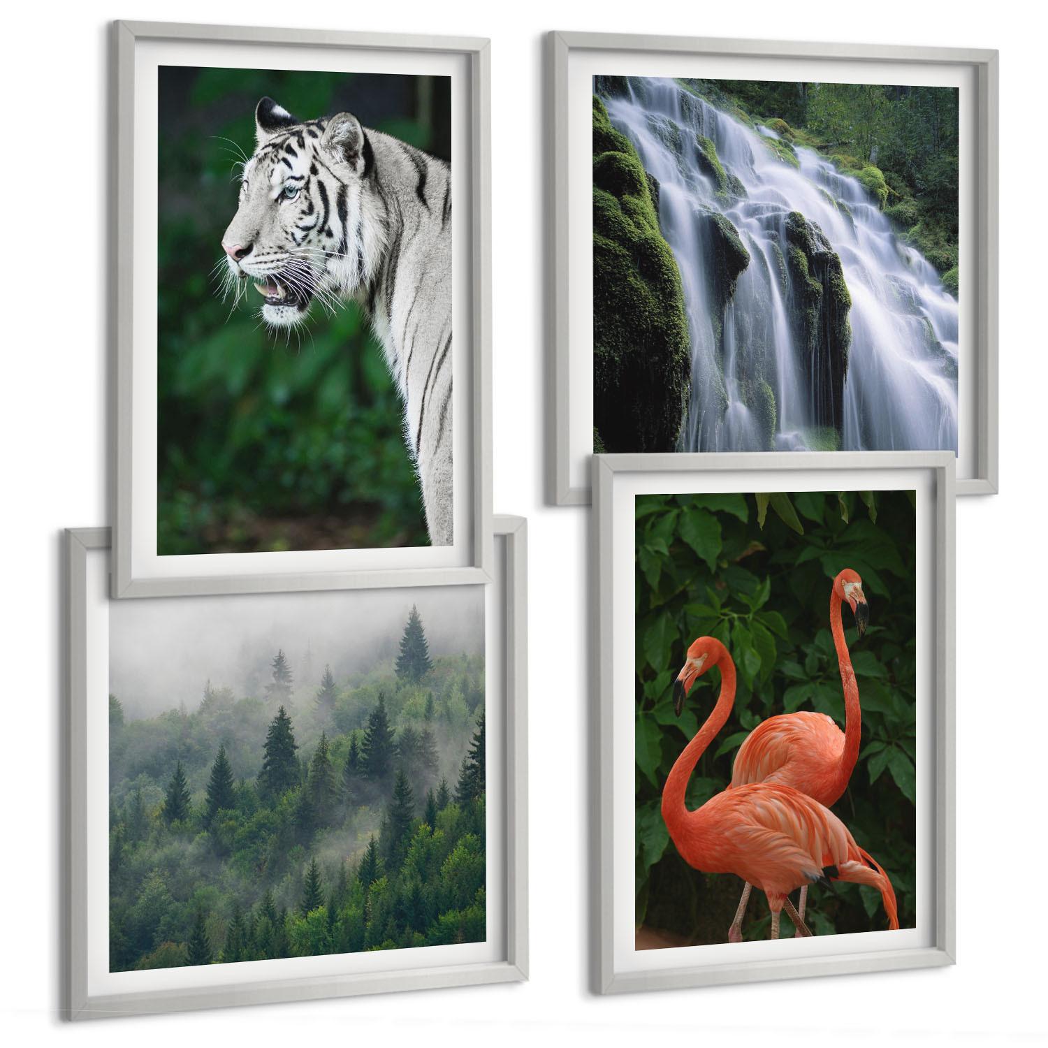 BILDER SET 4er Set - 50x50 cm & 40x60 cm Silberner Rahmen - Tiger Wasserfall Flamingos Natur - Silberfarben, Kunststoff (50/50cm) - TULUP