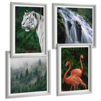 BILDER SET 4er Set - 50x50 cm & 40x60 cm Silberner Rahmen - Tiger Wasserfall Flamingos Natur - Silberfarben, Kunststoff (50/50cm) - TULUP