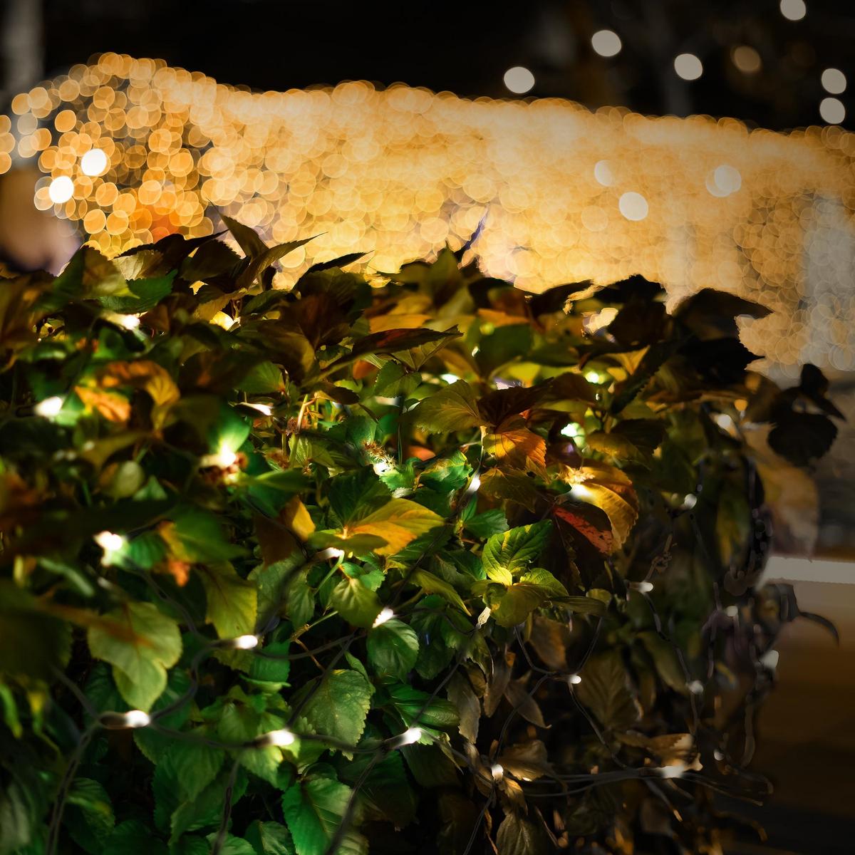 LED LICHTERNETZ 2x1 m 160LED Warmweiß Innen/Außen IP44 Wetterfest - Schwarz, Kunststoff (200cm) - ECD-Germany