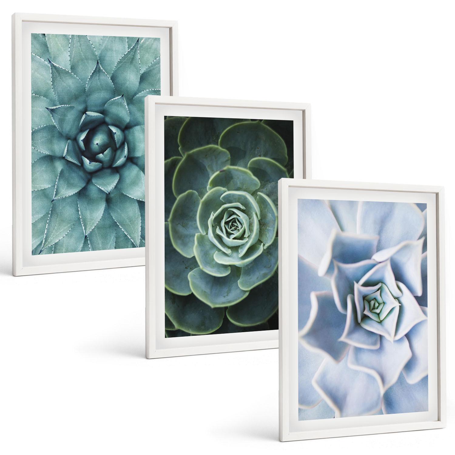 BILDER SET 3er Set - 40x60 cm Weißer Rahmen - Sukkulente Pflanzen grün türkis - Weiß, Kunststoff (40/60cm) - TULUP