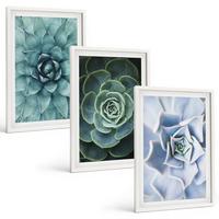 BILDER SET 3er Set - 40x60 cm Weißer Rahmen - Sukkulente Pflanzen grün türkis - Weiß, Kunststoff (40/60cm) - TULUP