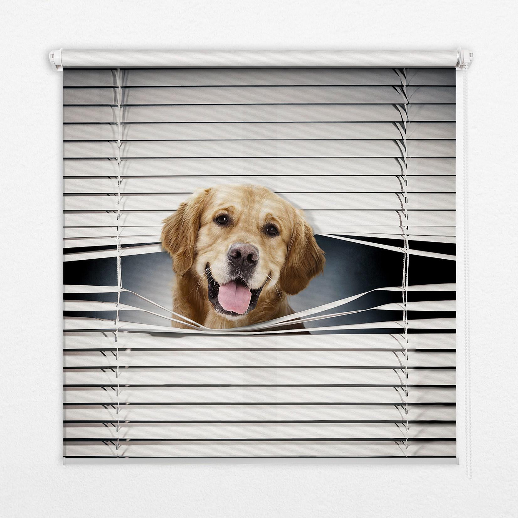 INNENROLLO - Fensterrollo - Rollo - 120x140 cm - Goldener Hund - Grau, Kunststoff (120/140/0.5cm) - TULUP