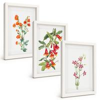 BILDER SET 3er Set - 20x30 cm Weißer Rahmen - Vintage-Retro-Blumenmalerei - Weiß, Kunststoff (20/30cm) - TULUP