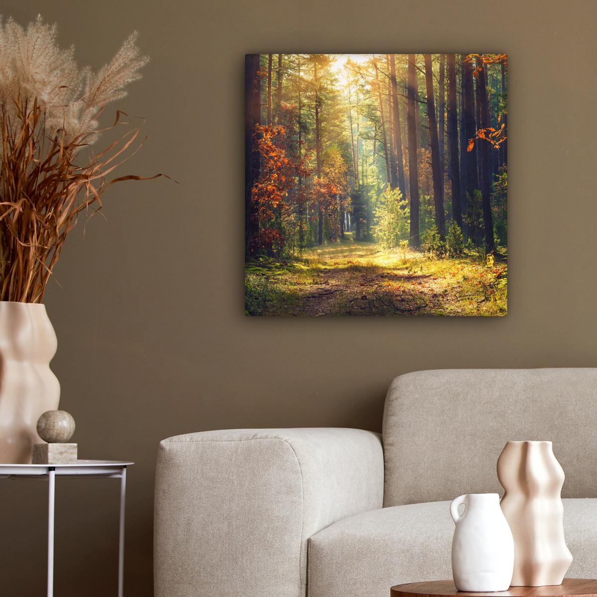 LEINWANDBILD Wald - Herbst - Bäume Wandbild Wohnzimmer 50x50 cm - Dunkelgrün, Textil (50/50cm) - MuchoWow
