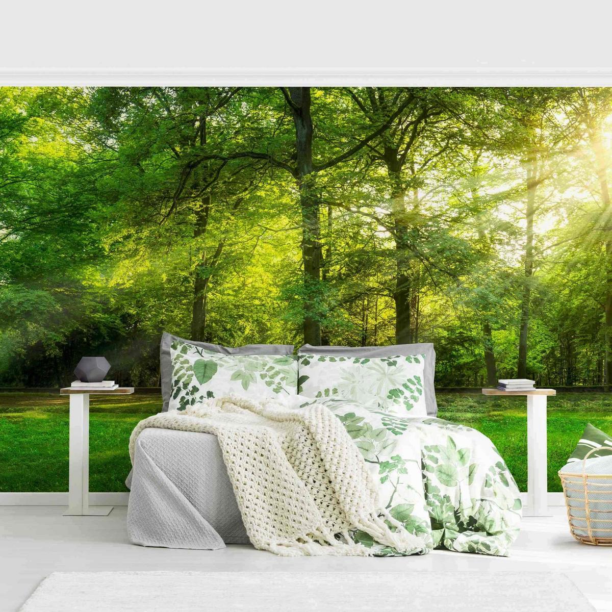 FOTOTAPETE Spaziergang im Wald 432/290 cm - Grün, Papier (432/290cm) - Bilderwelten